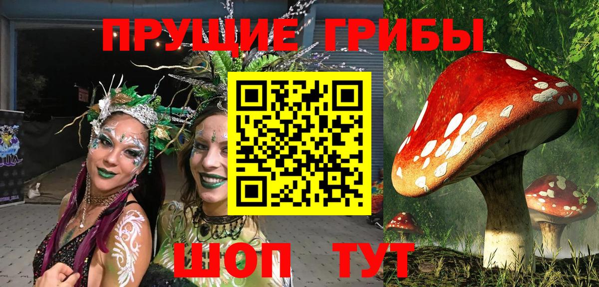 Галлюциногенные грибы MAGIC MUSHROOMS Ставрополь