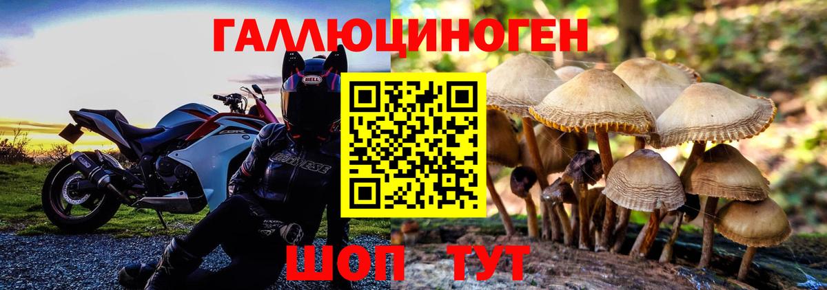 Ставрополь  Галлюциногенные грибы GOLDEN TEACHER  Вход с VPN 