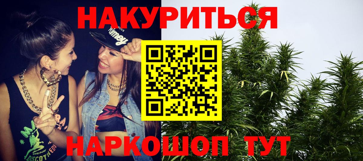 Канабис план Ставрополь